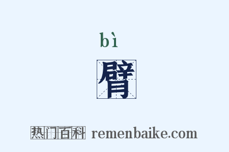 臂是什么意思的图片